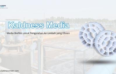 Kaldness Media